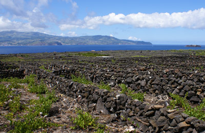 Ponta Delgada