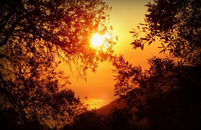 Zante (Zakynthos)